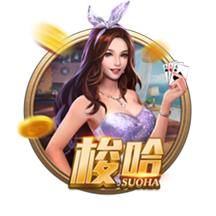 怒之铁拳4最新版本下载